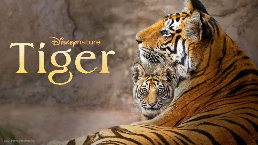 دانلود فیلم مستند Tiger 2024